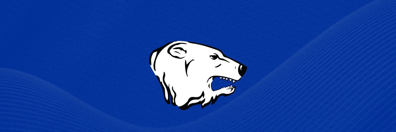 Polar Bears banner
