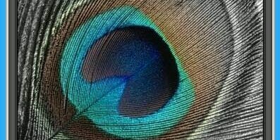 MsArmstrongLRT's profile banner image