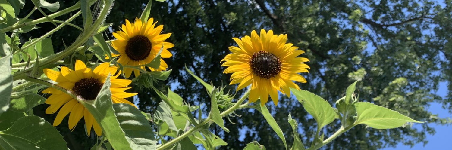 Nicole R. Larkin, MS, SMFT, CADC banner