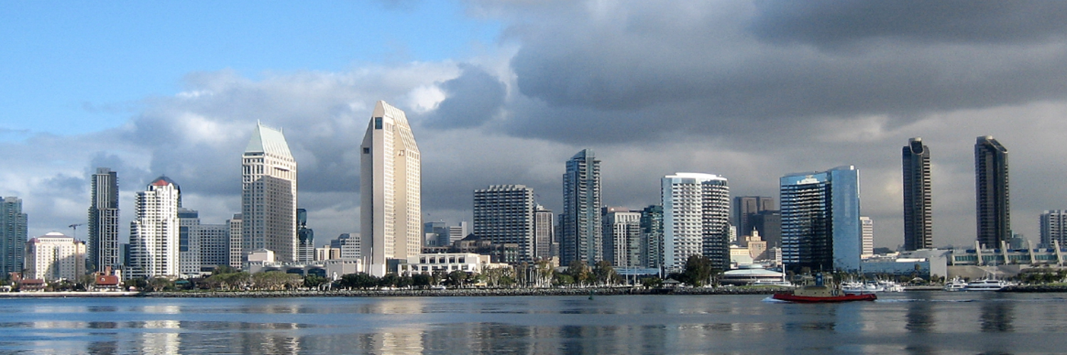 The Detection Group banner