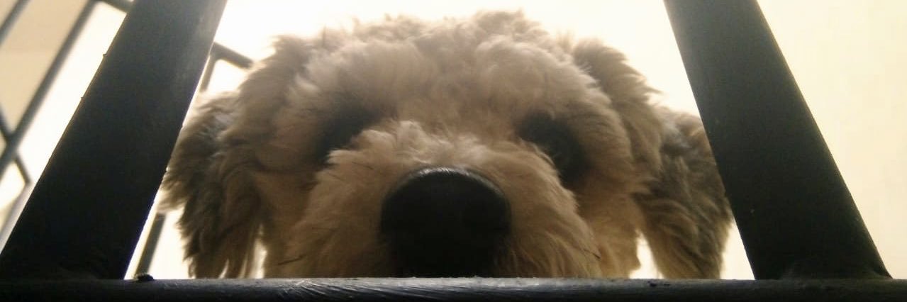 ivaanasm's profile banner image