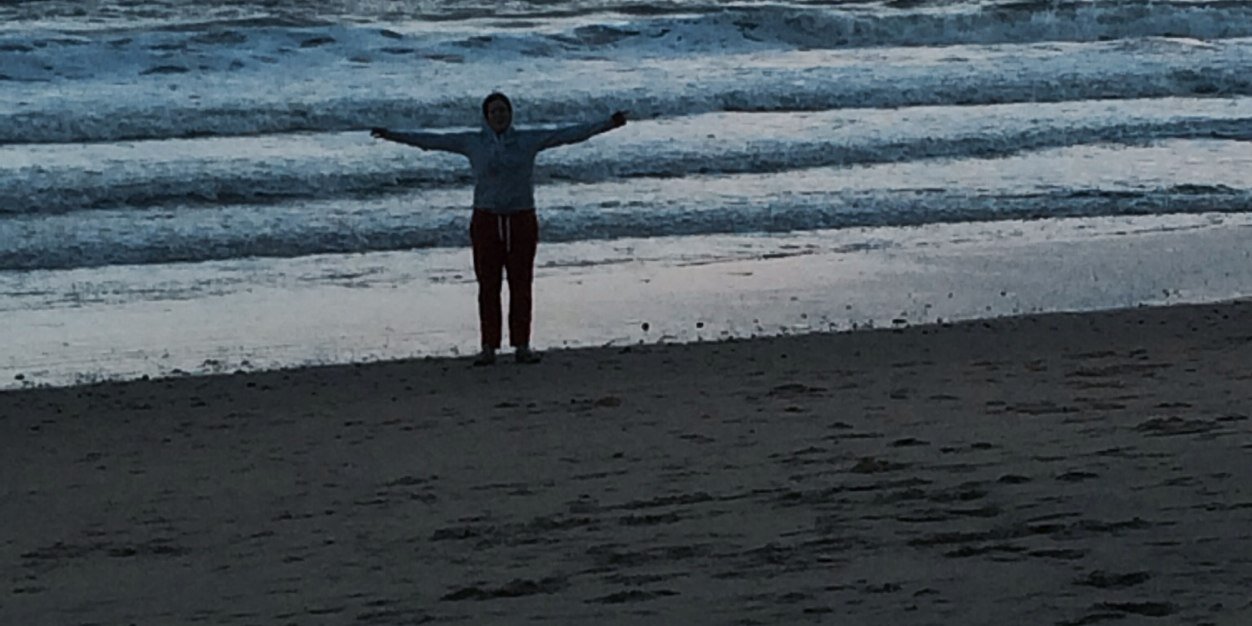 Katie Hopkins banner