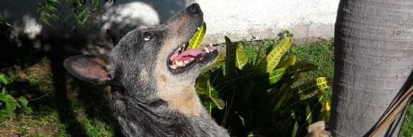 monroy_max's profile banner image