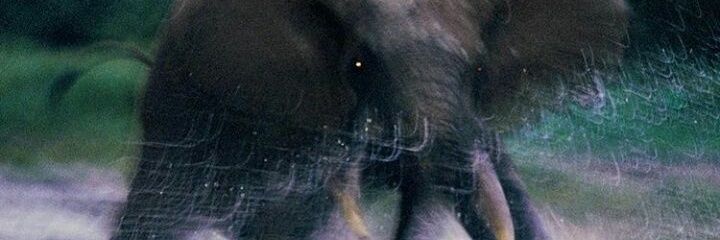 evvverest's profile banner image