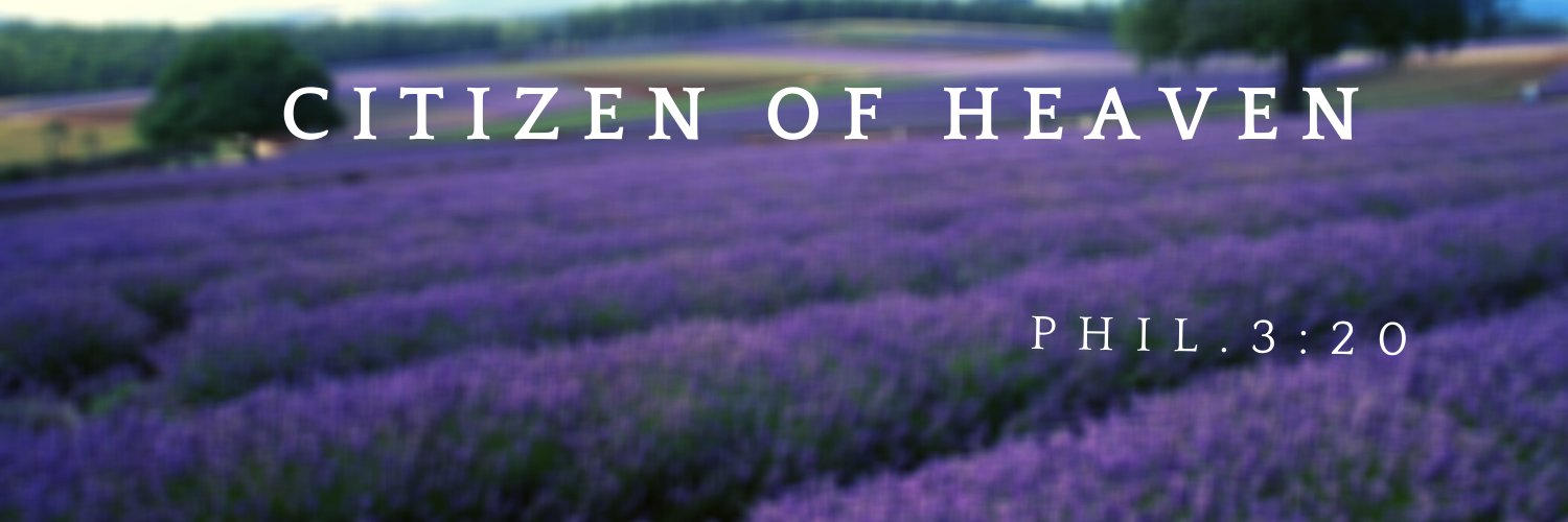SEGregg's profile banner image