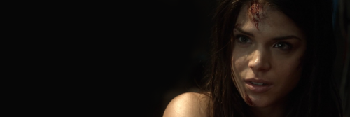 transadallas's profile banner image