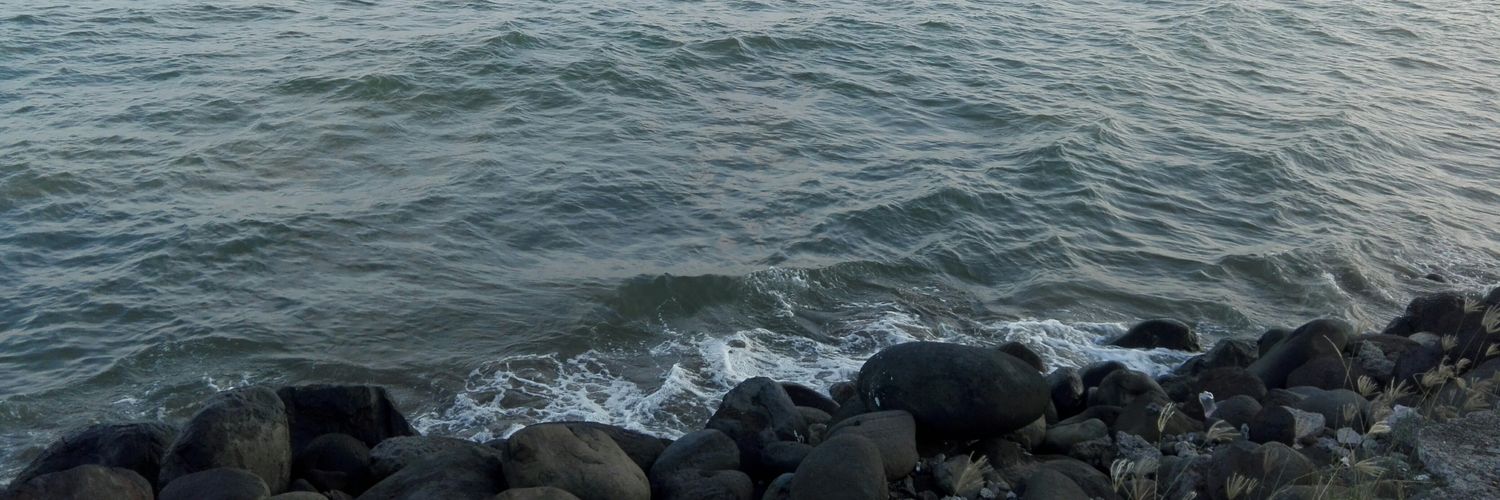 lalo_charly8's profile banner image