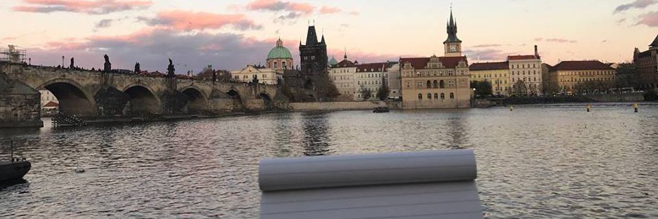 SophSaf_'s profile banner image