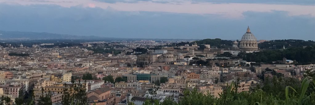 lniehoff's profile banner image