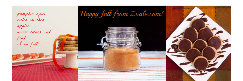Zoale_Food_Blog's profile banner image