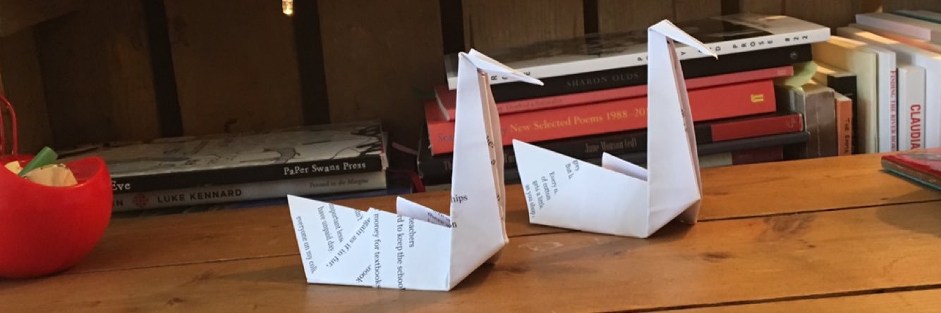 paperswanspress's profile banner image