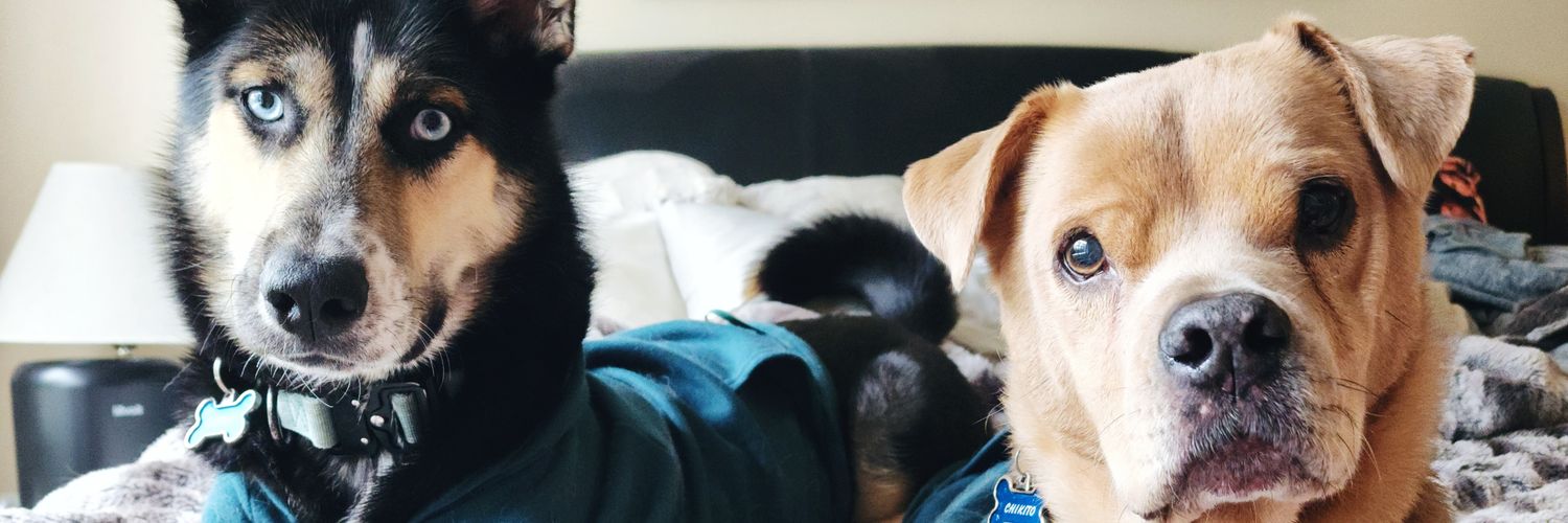 AshleighGordon_'s profile banner image