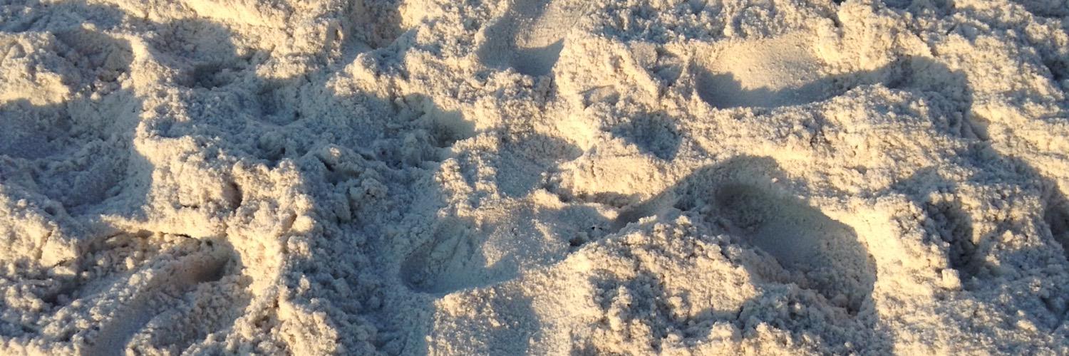 celsalync's profile banner image