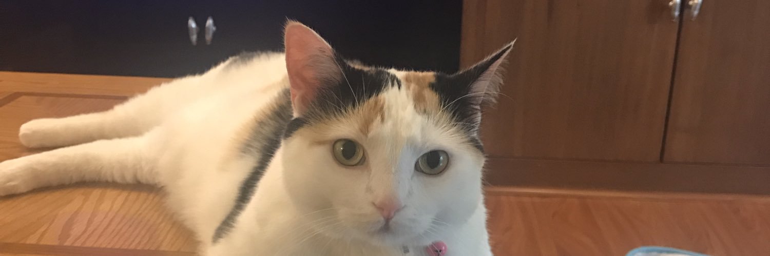 skynicole's profile banner image