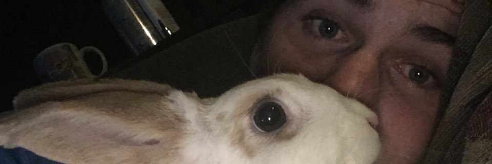 Simon_Peacock17's profile banner image
