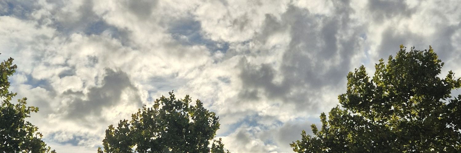 hilde_hide's profile banner image