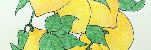 everydaypantry's profile banner image