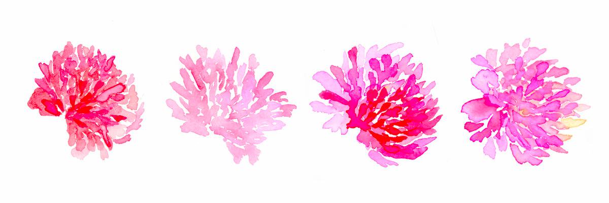 StephanDenise's profile banner image