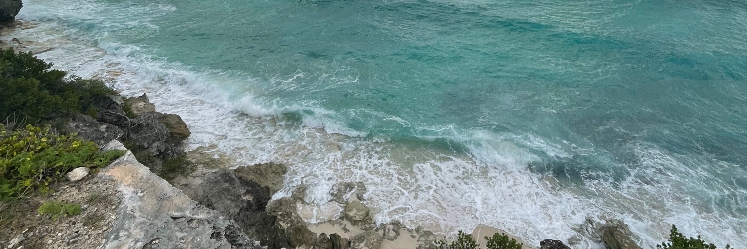 JeesC6's profile banner image