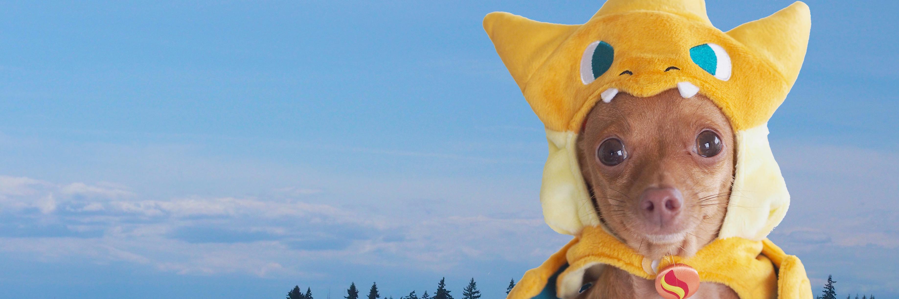 WalterTheChi's profile banner image