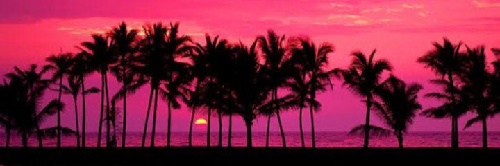 __officialdee's profile banner image