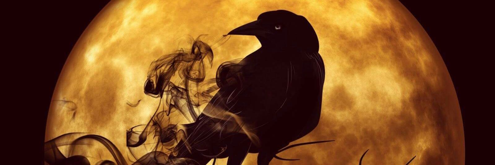 Illiandara's profile banner image