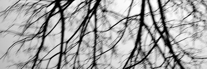 tantrolo's profile banner image