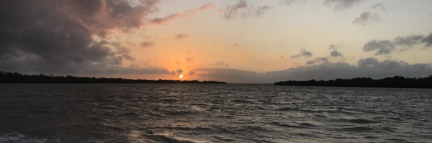 MariaOviedoC's profile banner image