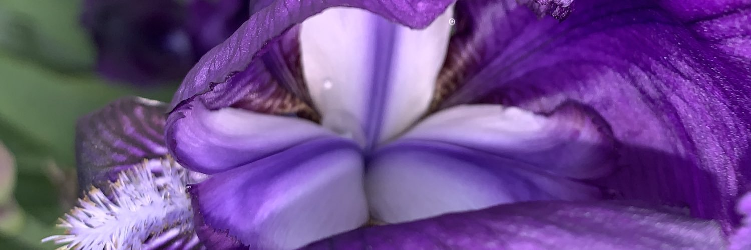 him8tnc's profile banner image