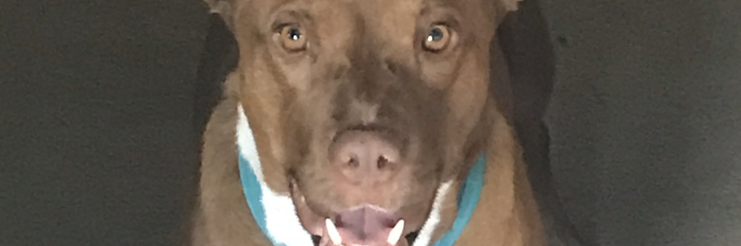 AlittleHeel's profile banner image