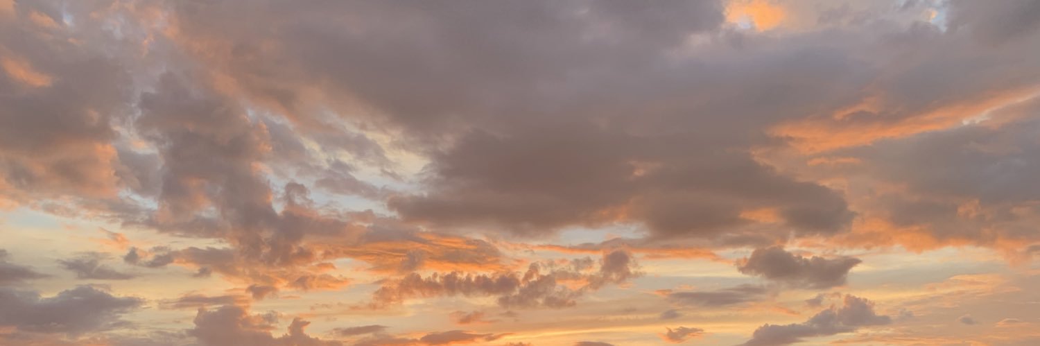 nicoblooom's profile banner image