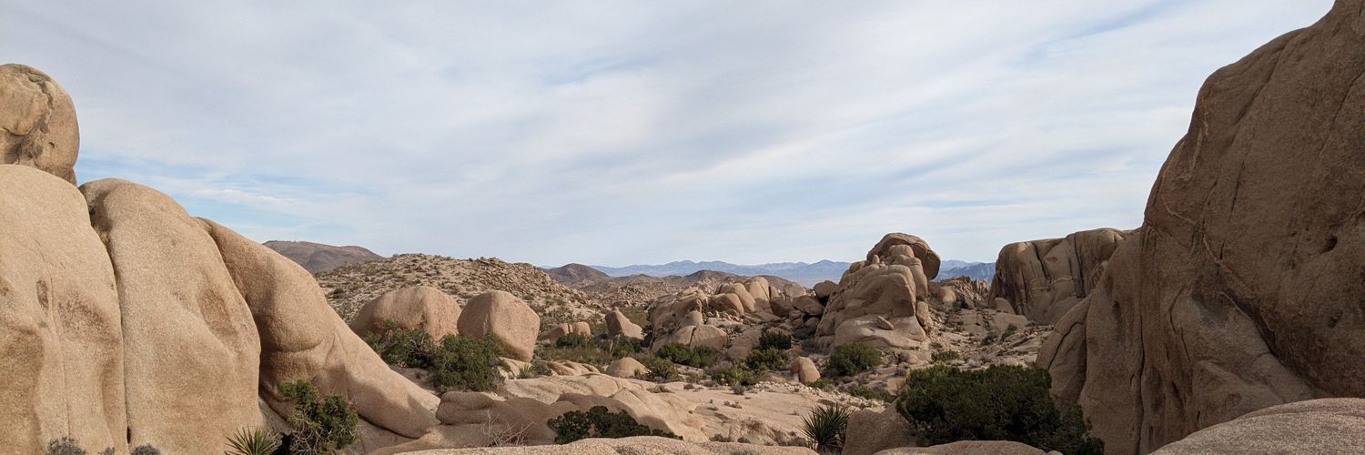 leesy4's profile banner image