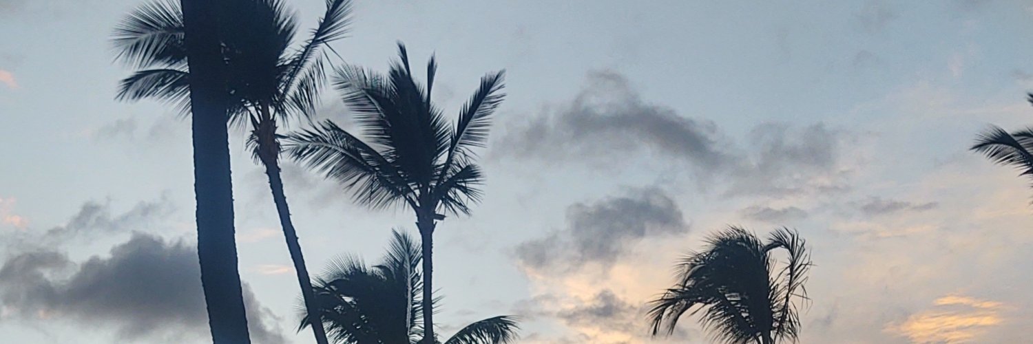 1msbateman's profile banner image
