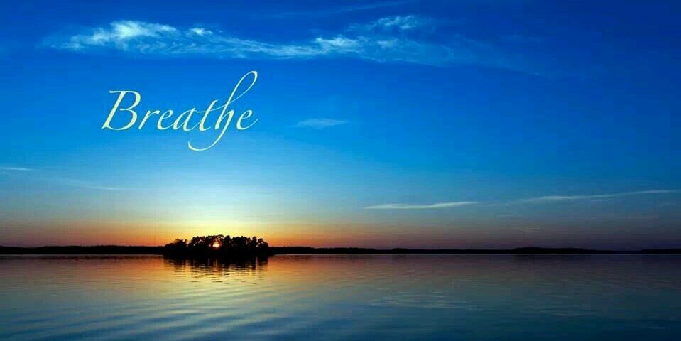 HaughnMichelle's profile banner image