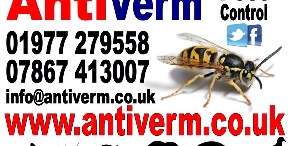 AntiVerm's profile banner image