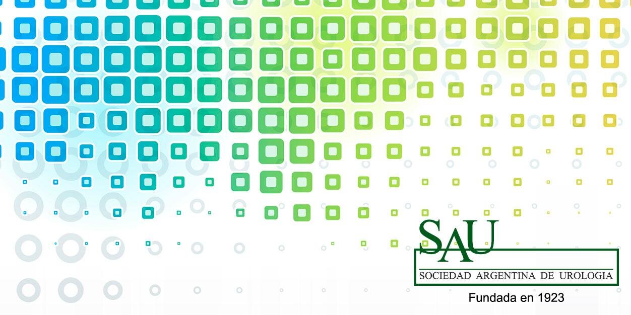 Revista SAU banner