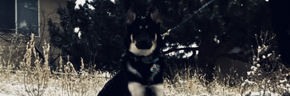 ChrisIsAwsome's profile banner image
