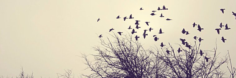 OrlanysAT_'s profile banner image