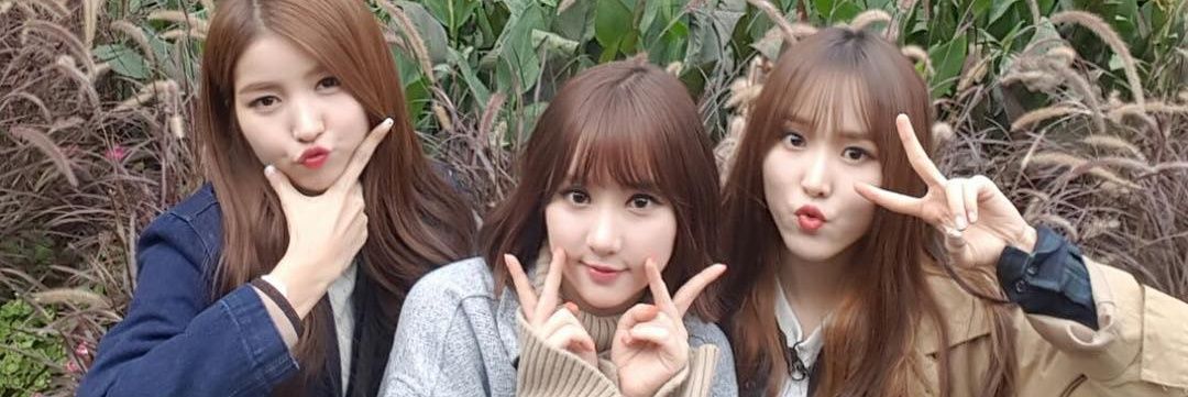 choiyujuu's profile banner image