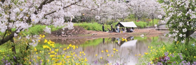China Pictorial banner