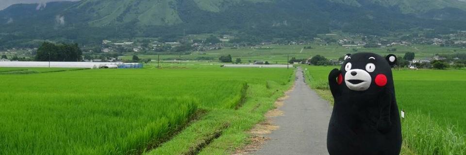 taeb6784's profile banner image