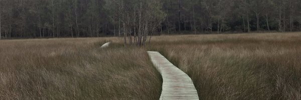 mikezim25 Profile Banner