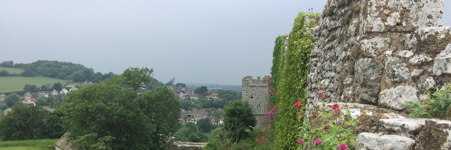 KimmMHarris's profile banner image