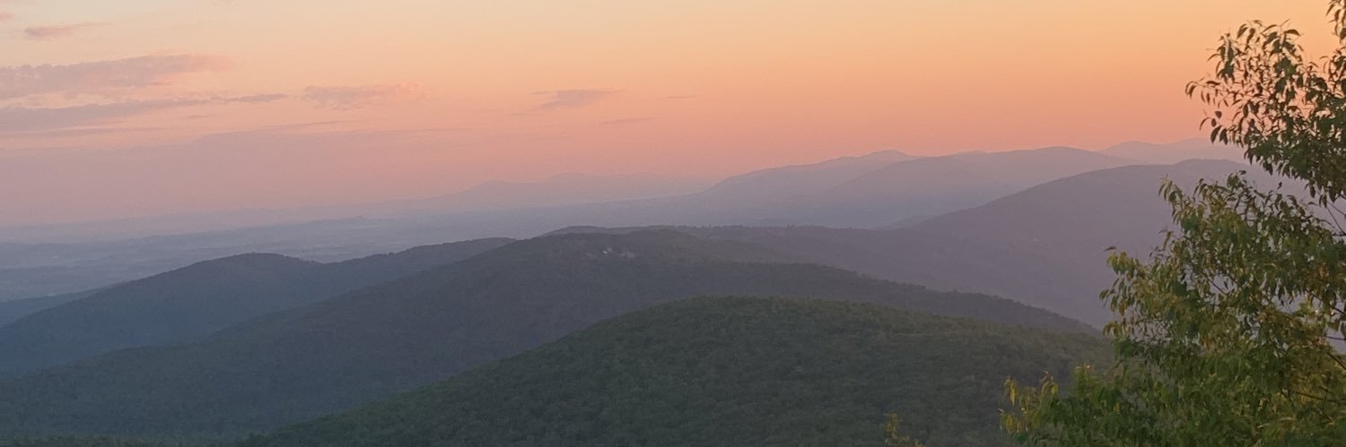 tarandrews's profile banner image