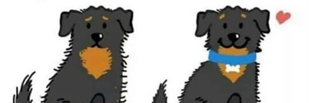 AlbitaCace's profile banner image