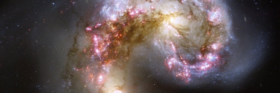 GloReinaCol's profile banner image