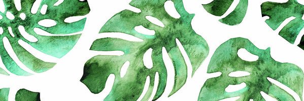 william1up's profile banner image