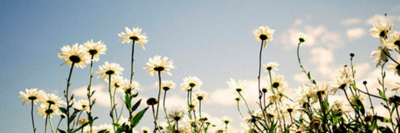 CamiAngelP's profile banner image