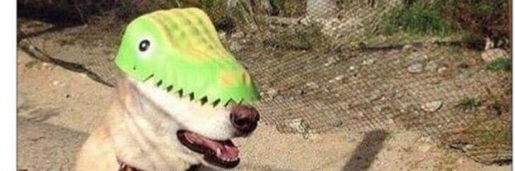 bzach124's profile banner image