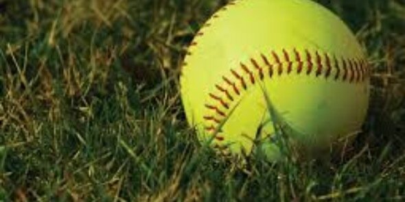 Ward_Softball's profile banner image